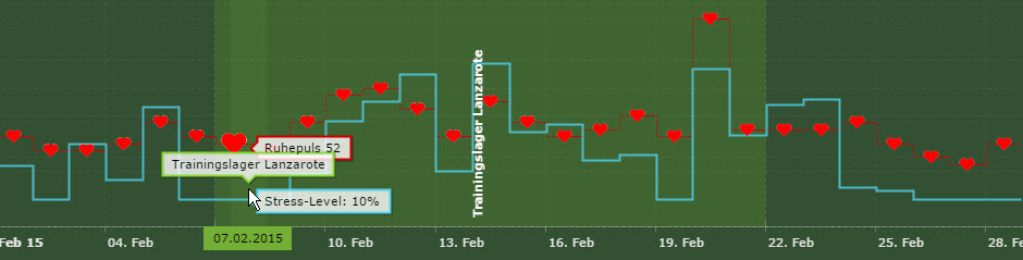 Februar 2015 - Stressauswertung